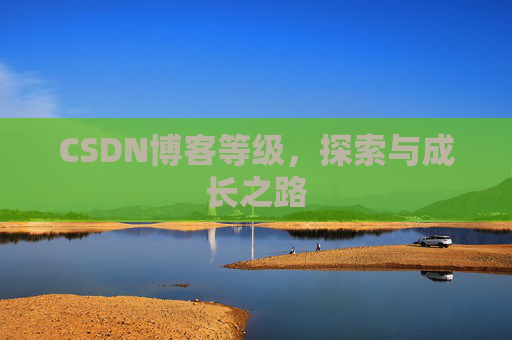 CSDN博客等级,探索与成长之路